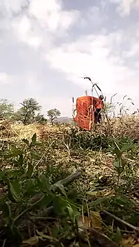 hornycouple20000 online show from 19, 3, 2026