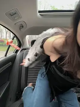 mo-mo-69 online show from 3, 4, 2026