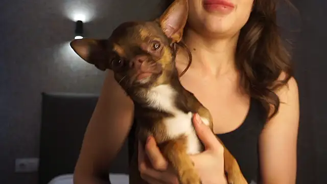 linclars online show from 6, 3, 2026