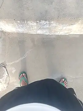 daksh  8 inche online show from 19, 4, 2026