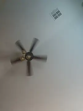 Snapshot of HotAzMilf chatting on 17, 6, 2026 HotAzMilf online show from 17, 6, 2026