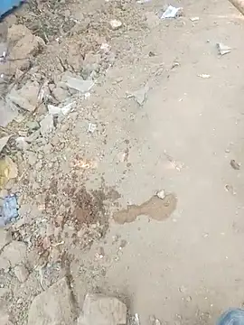 Gauri  Dhar online show from 17, 1, 2026