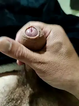 jim41 online show from 3, 3, 2026