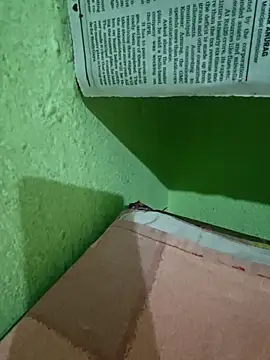 Pagelboy 089 online show from 9, 4, 2026