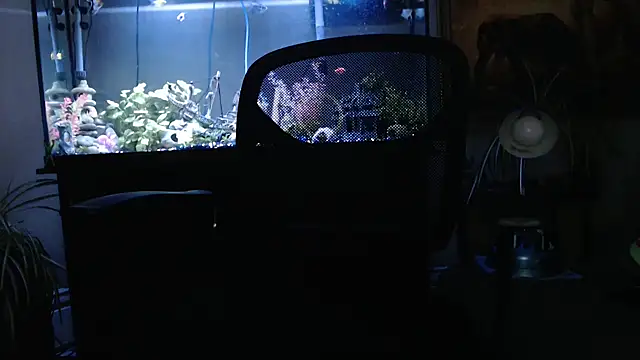 Snapshot of EspanolVato chatting on 26, 3, 2026 EspanolVato online show from 26, 3, 2026