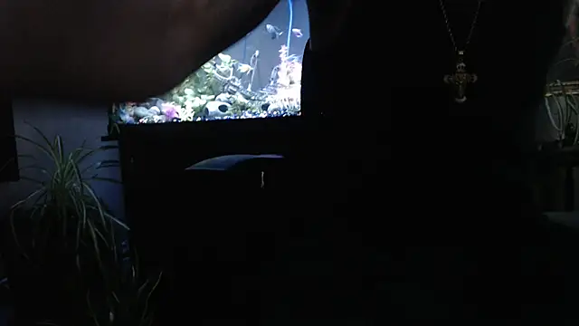 Snapshot of EspanolVato chatting on 2, 4, 2026 EspanolVato online show from 2, 4, 2026