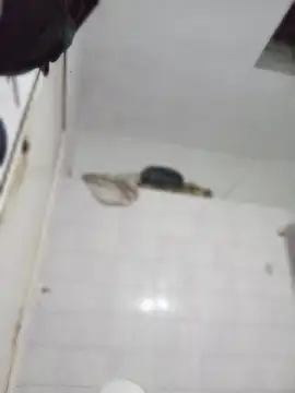 darkgodessone online show from 4, 4, 2026