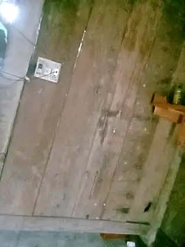 him220 online show from 8, 4, 2026