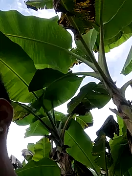 Snapshot of Wild_and_Sweets chatting on 11, 1, 2026 Wild and Sweets online show from 11, 1, 2026