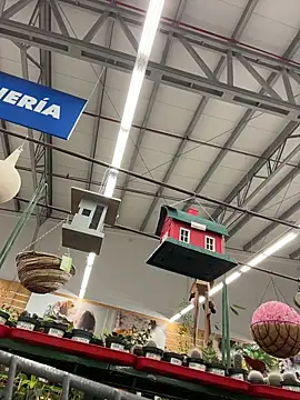 dani bela online show from 22, 3, 2026