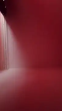 Der Schoene Penis online show from 21, 2, 2026