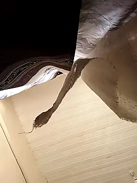 shanicollete online show from 15, 1, 2026