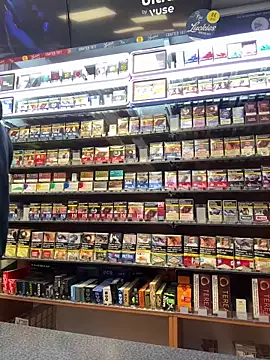 Dominic2295 online show from 17, 2, 2026