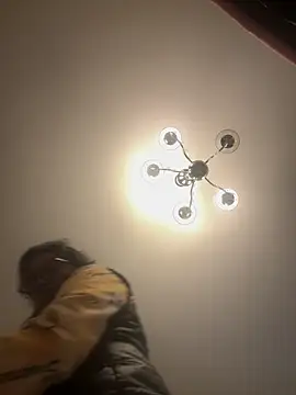 honey kendalll online show from 7, 3, 2026