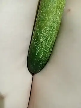 LINSA20 online show from 3, 3, 2026