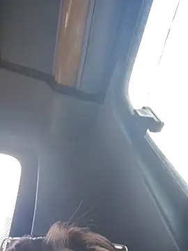 Cataleya 16 online show from 1, 4, 2026