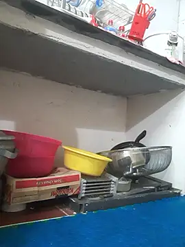 Snapshot of -Bunny-y chatting on 14, 1, 2026 -Bunny-y online show from 14, 1, 2026