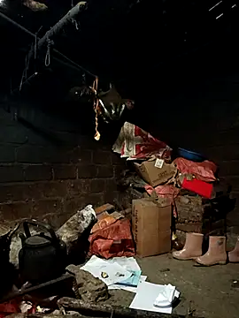 yu--yo online show from 8, 2, 2026