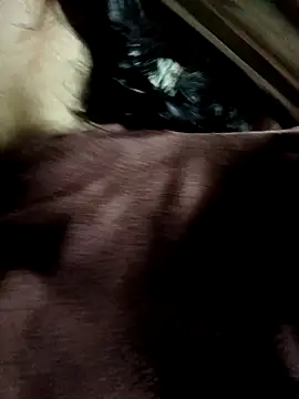 yu--yo online show from 21, 3, 2026