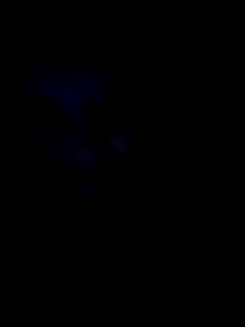 Sonja200 online show from 8, 1, 2026