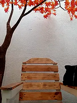 Dante Knox online show from 11, 3, 2026