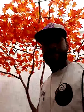 Dante Knox online show from 23, 3, 2026