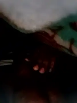 entrainer99 online show from 9, 1, 2026