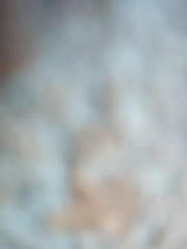 Snapshot of talytah chatting on 19, 2, 2026 talytah online show from 19, 2, 2026