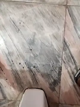 DesiPlayboy09 online show from 17, 1, 2026