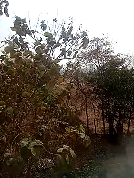 DesiPlayboy09 online show from 22, 2, 2026