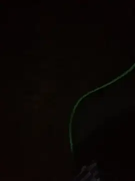 leox98xx online show from 10, 1, 2026