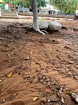 Snapshot of lunarous98 chatting on 13, 1, 2026 lunarous98 online show from 13, 1, 2026