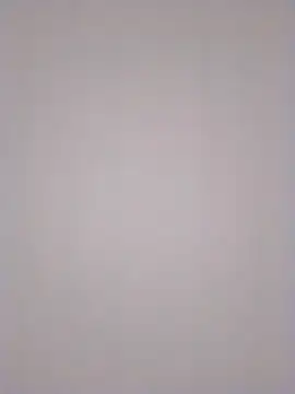 pintomurcho041 online show from 10, 1, 2026