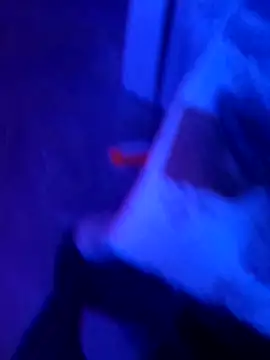 daysy15 online show from 8, 4, 2026