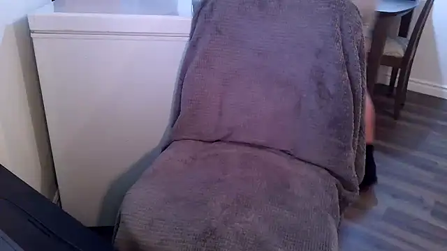 Snapshot of Greyd333 chatting on 3, 6, 2026 Greyd333 online show from 3, 6, 2026