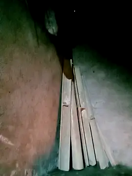 Diana-02 online show from 24, 3, 2026