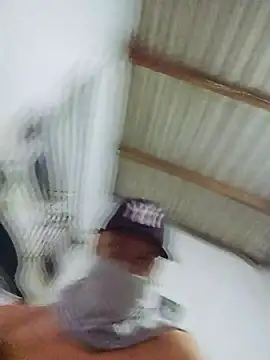 novinho br29 online show from 17, 2, 2026