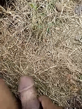 Snapshot of ankit_barma009 chatting on 3, 2, 2026 ankit barma009 online show from 3, 2, 2026