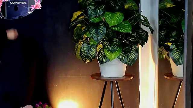 Noaah25  online show from 10, 4, 2026