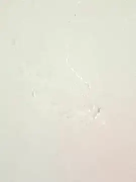 piccolo2002 online show from 27, 4, 2026