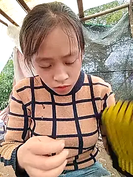 Snapshot of Hari-saka chatting on 24, 2, 2026 Hari-saka online show from 24, 2, 2026