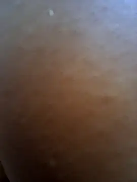 japosamel online show from 8, 4, 2026