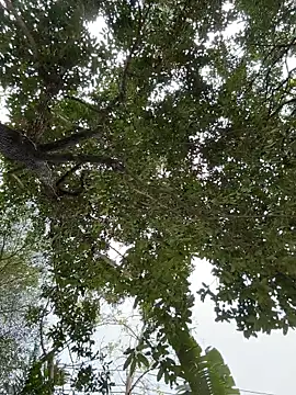 IceMur online show from 23, 2, 2026