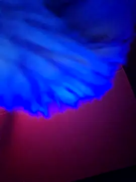 dewimp1 online show from 6, 2, 2026