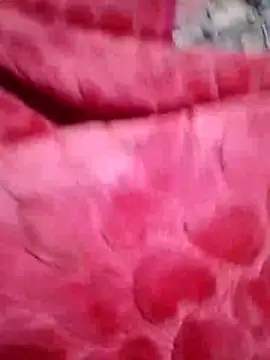 maisamim2 online show from 21, 3, 2026