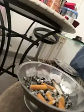 Snapshot of DieMitransarinos chatting on 31, 3, 2026 DieMitransarinos online show from 31, 3, 2026