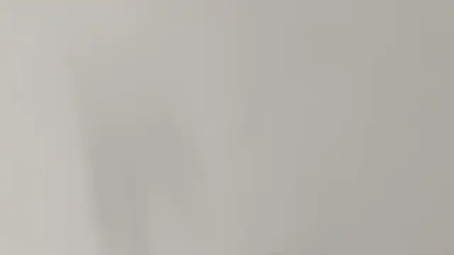 Ashley Ebony   online show from 7, 2, 2026