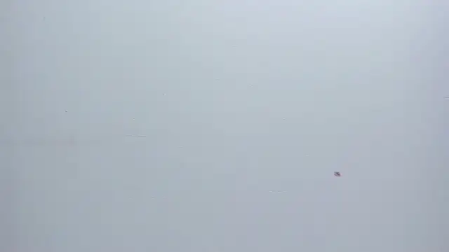 Snapshot of Melanie__Evans chatting on 17, 3, 2026 Melanie Evans online show from 17, 3, 2026