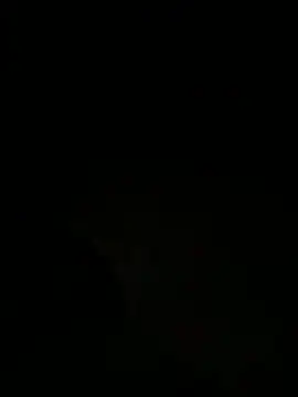 tyd247 online show from 28, 3, 2026