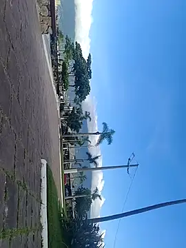 Gustavo52367 online show from 20, 2, 2026